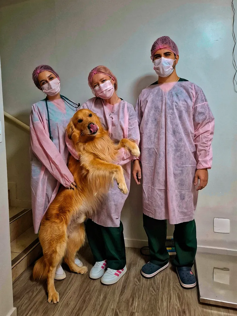 Equipe Vetier com um golden retriever