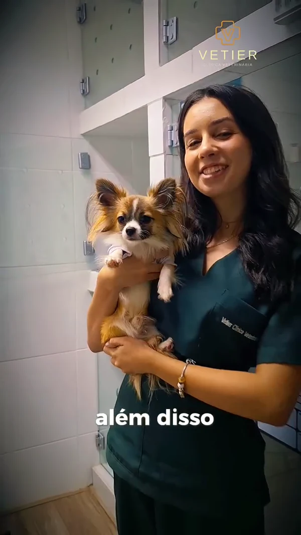 Profissional da Vetier apresenta os cuidados com os pets